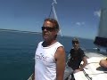 Dolphins in Hervey Bay