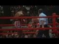 Best-Of-Rocky-Bolboa