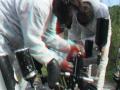 Flying Colours paintball.wmv