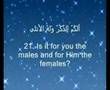 Beatuful Recitation by Mishary Alafasi / alafasy - Sura Najm
