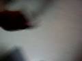 videos de hes in fire