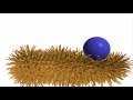 Anim8or- Face Target Simulation