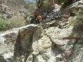 videos de Monkey canyon cliff jumps