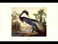 Brahms - Gestillte Sehnsucht (\