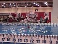 Novi 11/15/08, Crash