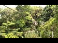 Tree Top Tour Tree Top Tour