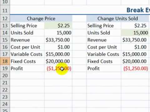 how to perform npv analysis