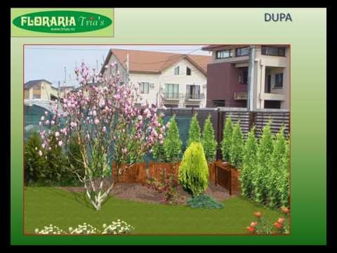 Amenajari spatii verzi - Proiecte de gradini.avi