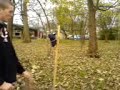 Cockers Boxers Flag Break! Cockers Boxers Flag Break!