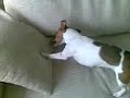 jojo hiding her toy