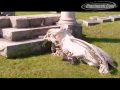 St. Mary's Cemetery Vandals