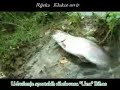 Flyfishing revir Klokot Biha? Flyfishing revir Klokot Biha?