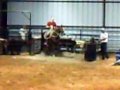 dolly-10yr-old-calf-horse-for-sale.html
