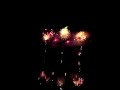 OHŇOSTROJE 2008 /Fireworks 2008/ - HLUČÍN 5.9. /CZE/ (1/2)