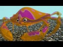 Crab Animation Walk Cycle Test