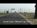 O noua specie in Romania