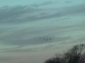 a documenary - episode 2