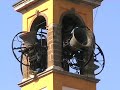 Le Campane di Nava