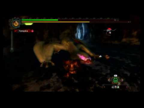 Monster Hunter 3