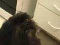 videos de Théo tomando sorvete