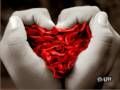 amor ingles
