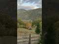 Pievos - Lapai rudenį