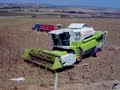 Claas Medion 340 is Harvesting The Sunflower Part1 TURKEY Claas Medion 340 is Harvesting The Sunflower Part1 TURKEY