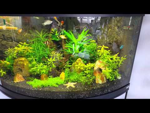 Eckaquarium fluval venezia 350 liter