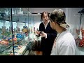 Japanorama - Bape