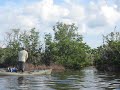 Mike Wong fly fishing with tarpon.AVI