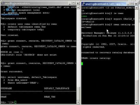 how to recover oracle 11g password