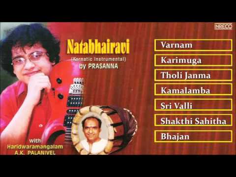 Carnatic Instrumental on Guitar | Prasanna | Natabhairavi | Classical Instrumental | Audio Jukebox