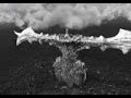 Chrono Cross Ending - 