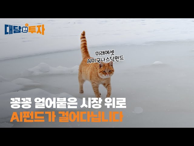 찬바람 부는 투자 시장, AI 펀드는 어떨까?