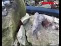 videos de Podkarpacki 