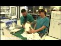 Glenwood Falls Animal Hospital,yellowpages,Texas