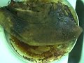 Lightly Smoked Beef Brisket