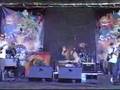 Vegitation at Earthdance San Diego