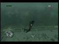 videos de The Leapers