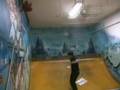 Viriato Marques skateboard clip...Faro city!!!