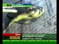 Scientists baffled by giant shrimp in Ukraine