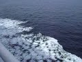 MV Atlantic Vision at speed
