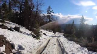 VLOG 2: BIG BEAR