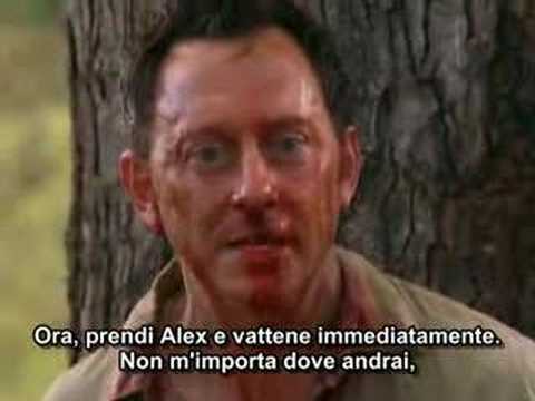 Immagine anteprima YouTube