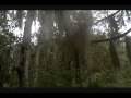 EEE Carter Rd Park Fl; With Linzy & Lindsay