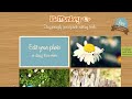 PicMonkey - A Free Online Photo Editor