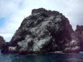 videos de Omer Galapagos