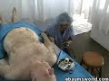 Autopsy Prank