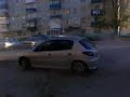 un-206-nebun-in-parc