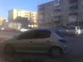 un-206-nebun-in-parc